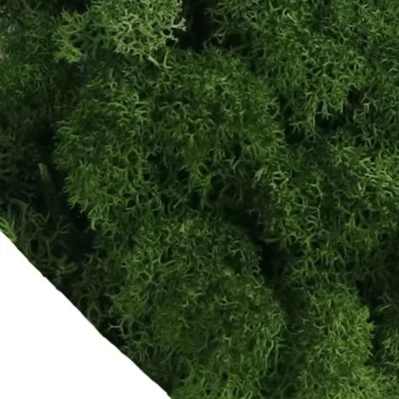 Bea Mini Basing Flock – Shrub Sponge (Green)